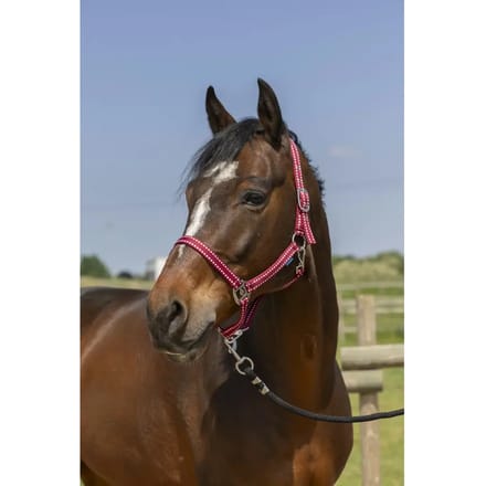 Halster voor paarden Norton Grooming