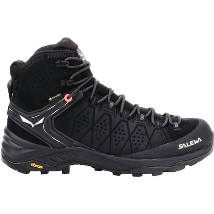 Dameswandelschoenen Salewa Ws Alp 2
