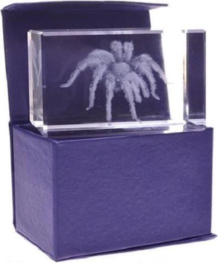 3D Laser Gravure Spin in Glasblokje – Vogelspin – Luxe Cadeau met Diepte Effect – 8 cm