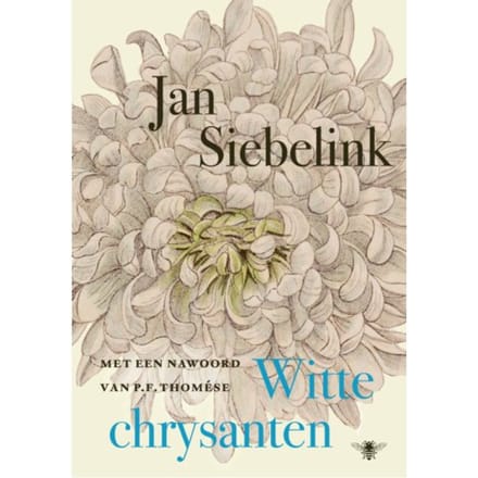 Witte Chrysanten - Jan Siebelink