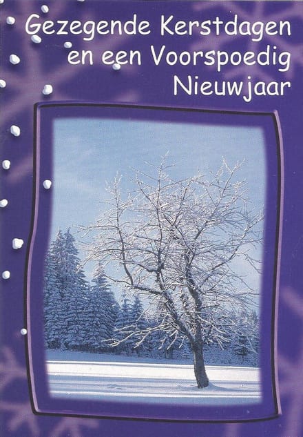 Kerstkaarten Gezegende Kerstdagen nr. 32 25 stuks