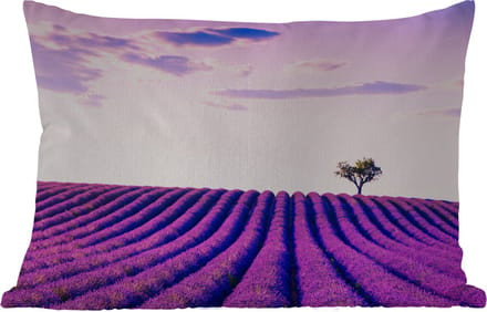 Buitenkussens - Tuin - Lavendel - Bomen - Paars - Bloemen - 50x30 cm