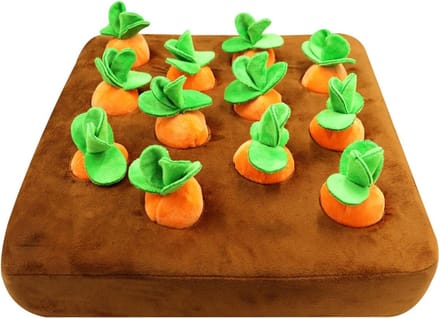 Hondenspeelgoed - Snuffelmat - Mentale Stimulatie - Antislip Ontwerp - 35 x 35 cm - Wortel