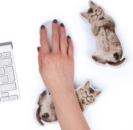 Katten Polssteun.