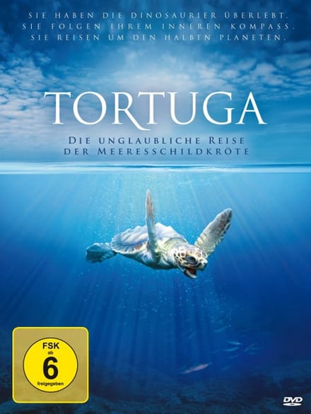 Finn, M: Tortuga - Die unglaubliche Reise der Meeresschildkr