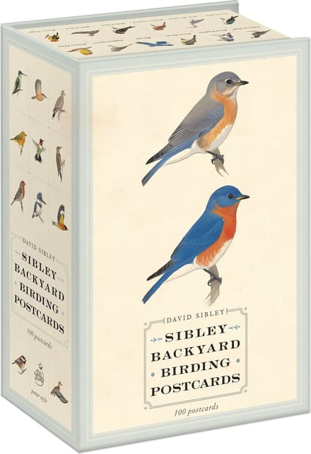 Sibley Backyard Birding Postcards
