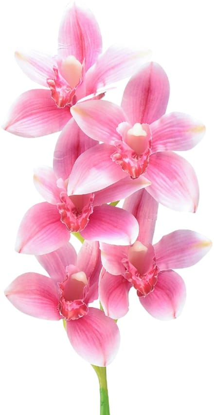 Cymbidium orchidee kunst 5 bloemen roze 65cm