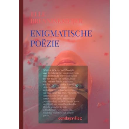 Enigmatische Poëzie - Elle Brenninkmeijer-Werners