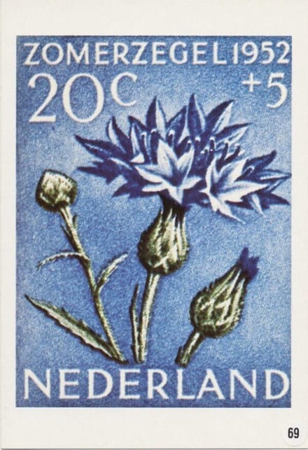 Briefkaart met afbeelding korenbloem postzegel