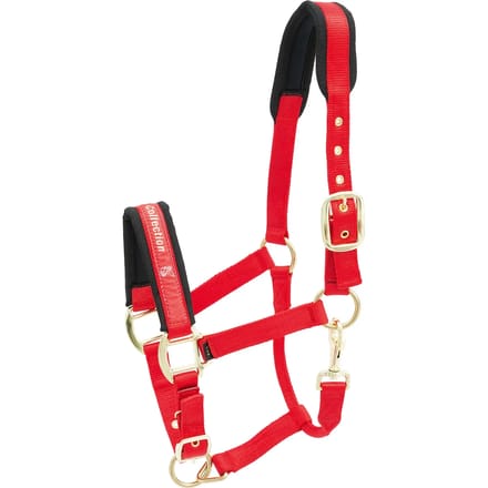 Nylon paardenhalster Kieffer Collection