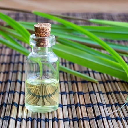 Vetiver Java Etherische Olie - 50 ml