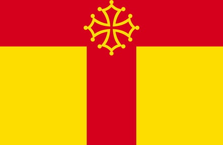 Vlag Tarn 100x150cm