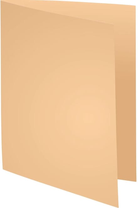 Exacompta 5x SUPER 60 - Pak van 250 inlegmappen - 22x31cm voor A4 - Gems - 850002E
