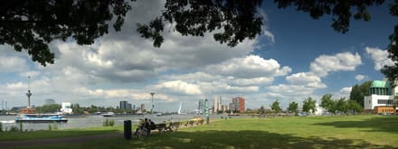 Fotobehang Rotterdam Skyline en Kop van Zuid 450 x 260 cm - € 295,--