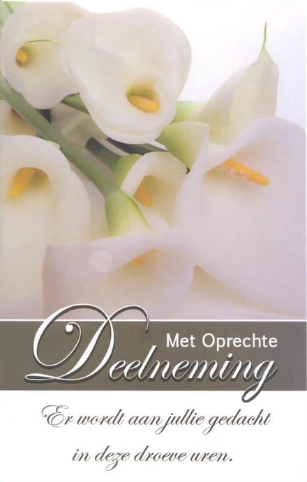 Condoleance Wenskaart - Met Oprechte Deelneming - D14062 - Gratis verzonden