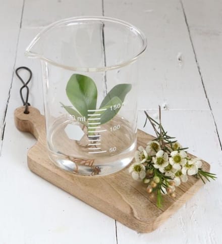 Laboratoriumglas Cilinder Ø 9cm en 11cm hoog (1 pc)