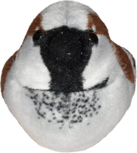 Vogel met geluid huismus