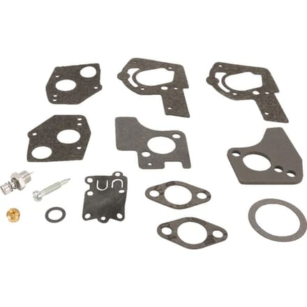 Briggs & stratton carburateur reparaties