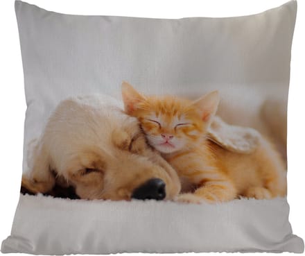 Tuinkussen - Dieren - Hond - Kitten - Rood - 40x40 cm - Weerbestendig
