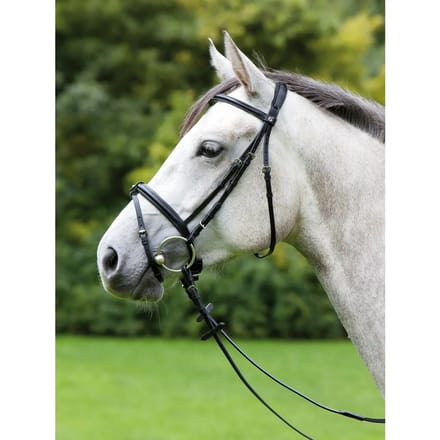 Hoofdstel Kieffer Anja Beran combined noseband and chip pad