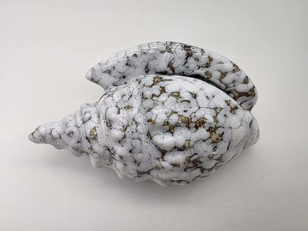 GOLDBACH Schelp van keramiek - Original Handmade - 14,5 cm