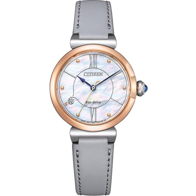 Citizen EM1074-15D Horloge - Leer - Grijs - Ø 29 mm