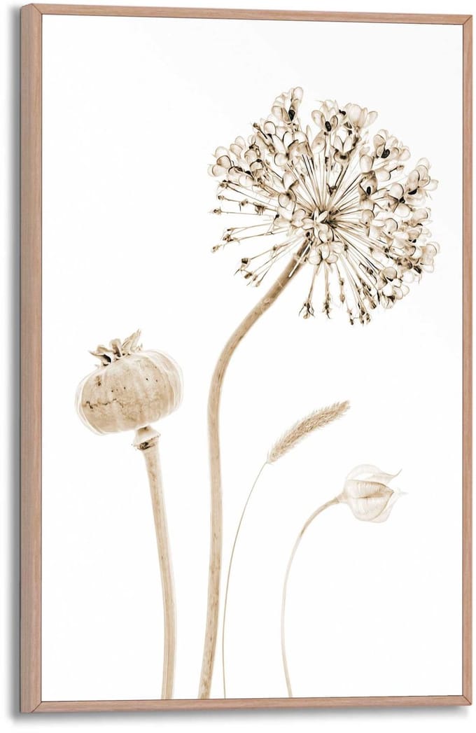 Schilderij Droogbloemen - 30 x 20 - Hout - REINDERS