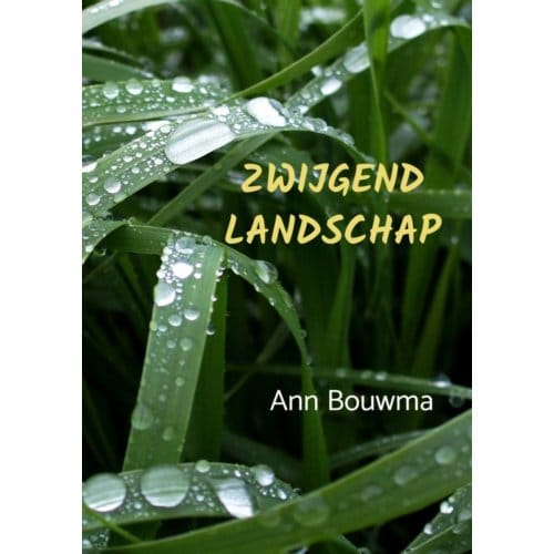 Zwijgend Landschap - Ann Bouwma