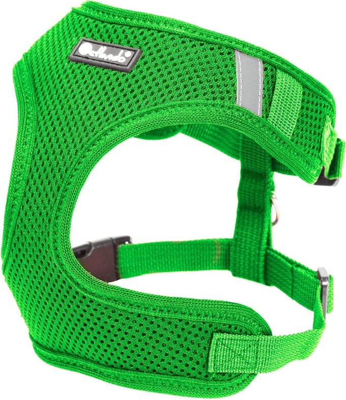 Petlando Mesh Vest Groen XL