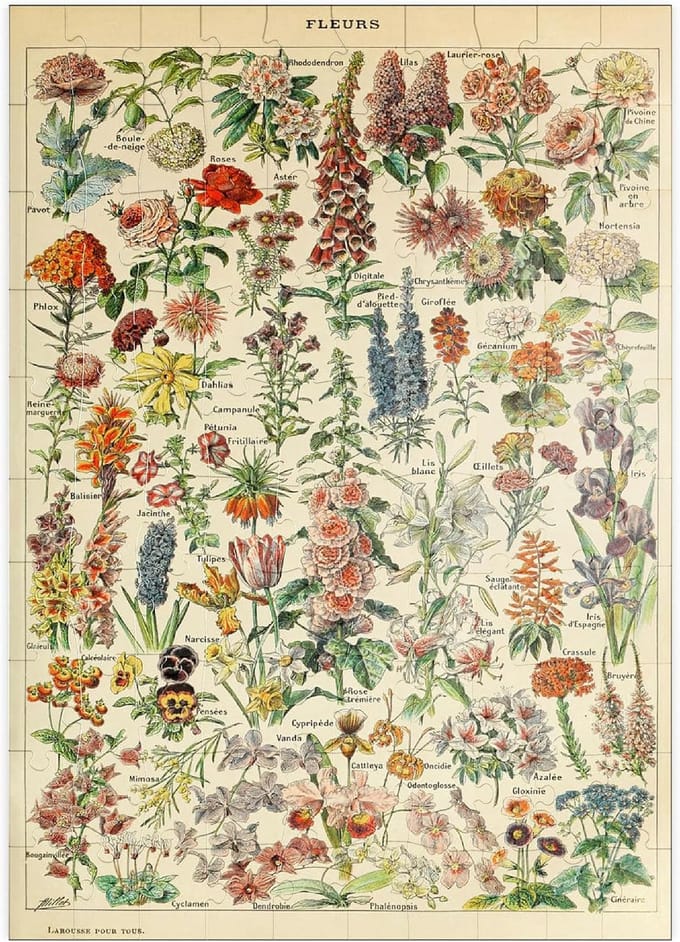 Vintage Bloemen Poster Puzzel 100 Stukjes Botanische Illustratie