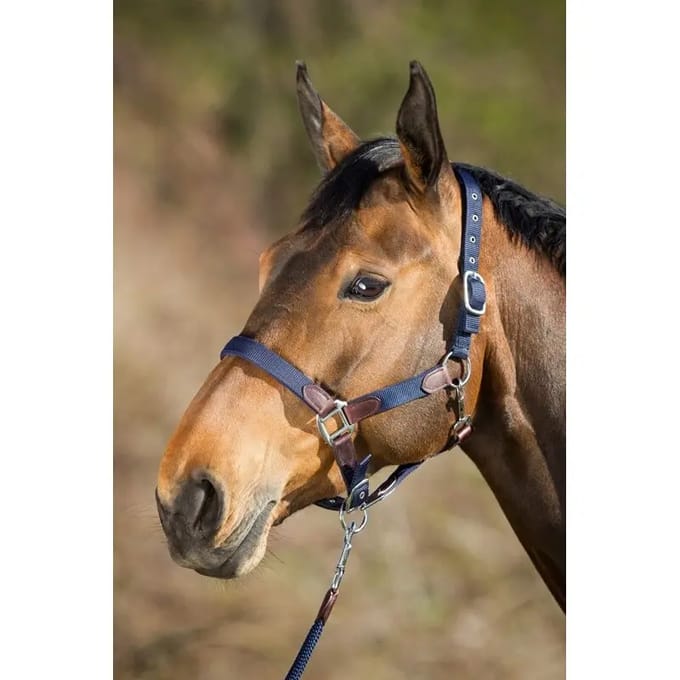 Halster met touw nylon HFI Neoprene Smart