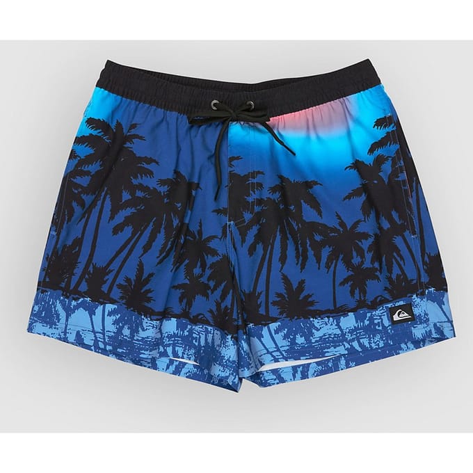Quiksilver Everyday Printed Volley 15 Boardshorts blauw