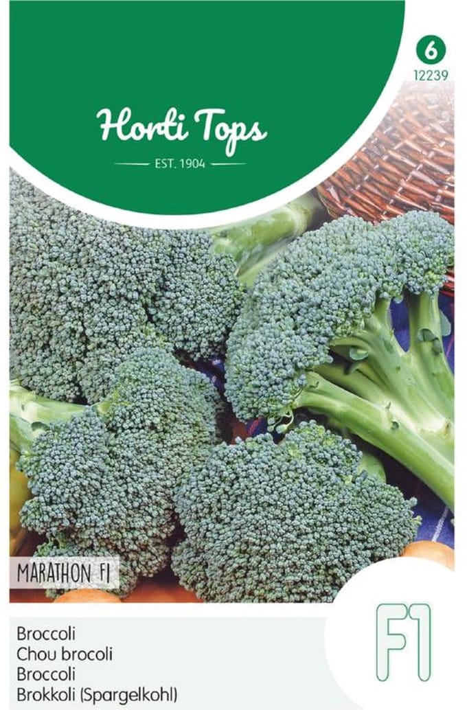 Hortitops Zaden - Broccoli Premium Crop (V/H Southern Comet) F2