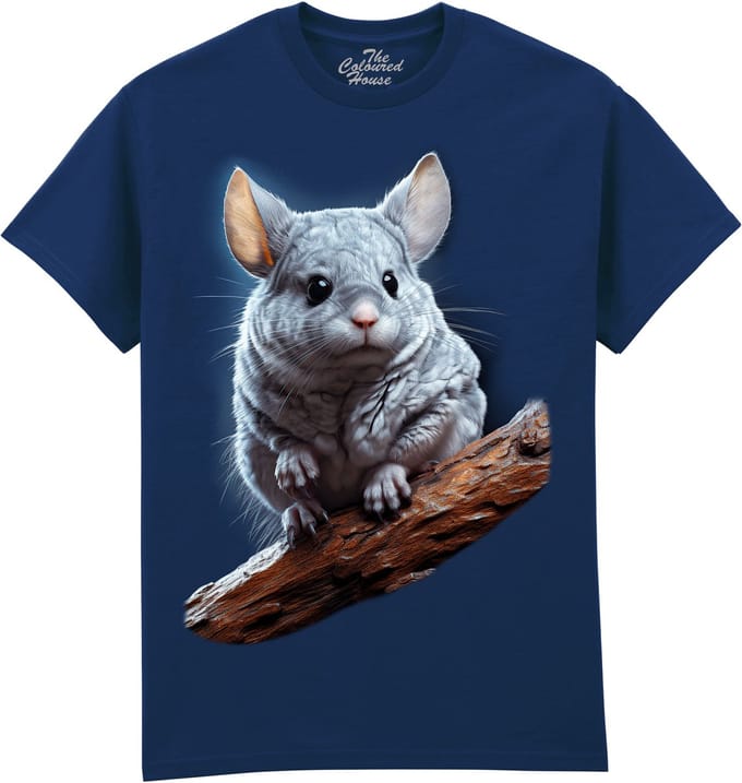 Chincilla The Coloured House T-shirt XXL
