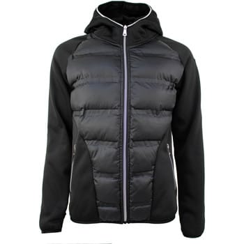 Technische jassen Peak Mountain Blouson polaire femme ALIEN