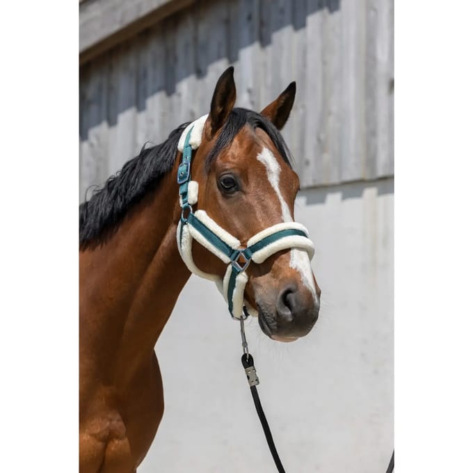 Norton Equestrian Cosy Halster Groen Full