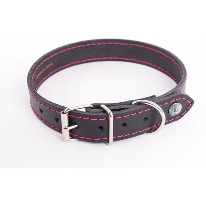 Hondenhalsband Martin Sellier Flash