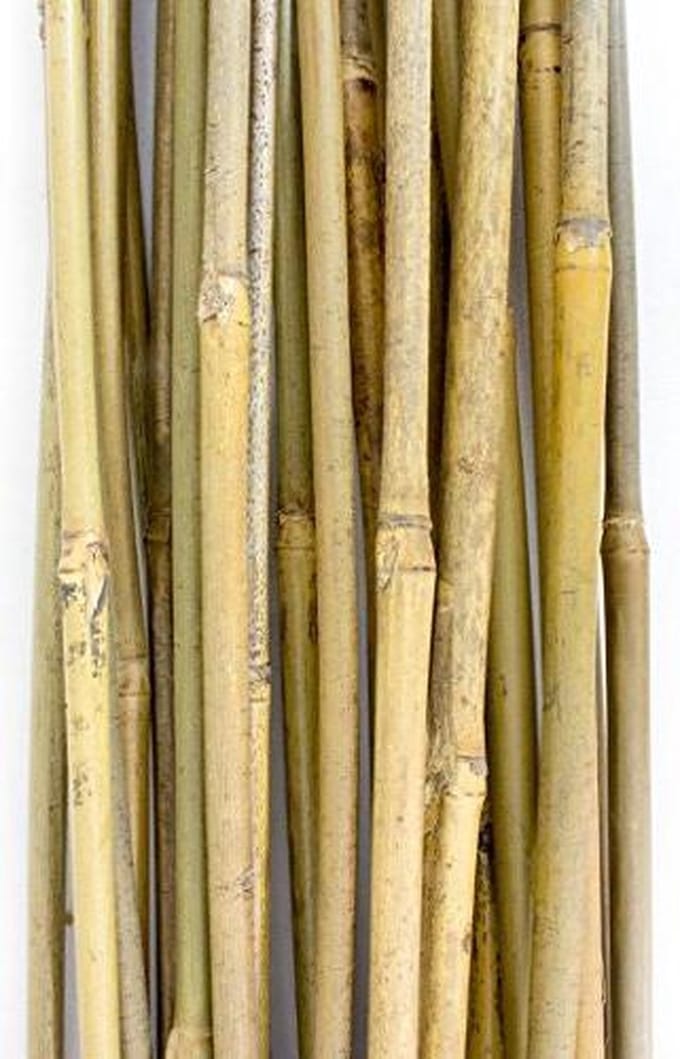Plant!t Bamboe stokjes 90cm 25 stuks