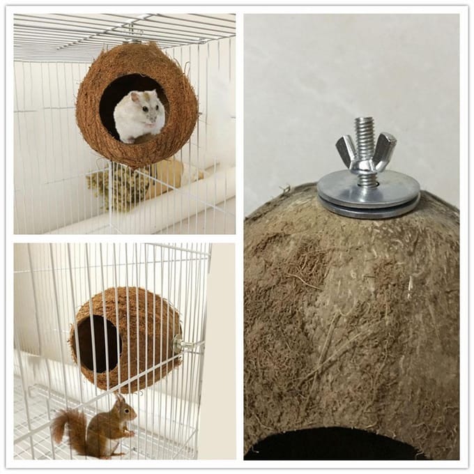 Huisdier Papegaai Nest Natuurlijke Kokosnootschaal Huis Kooi Voeder Parkiet Vogels Hamster Speelgoed black
