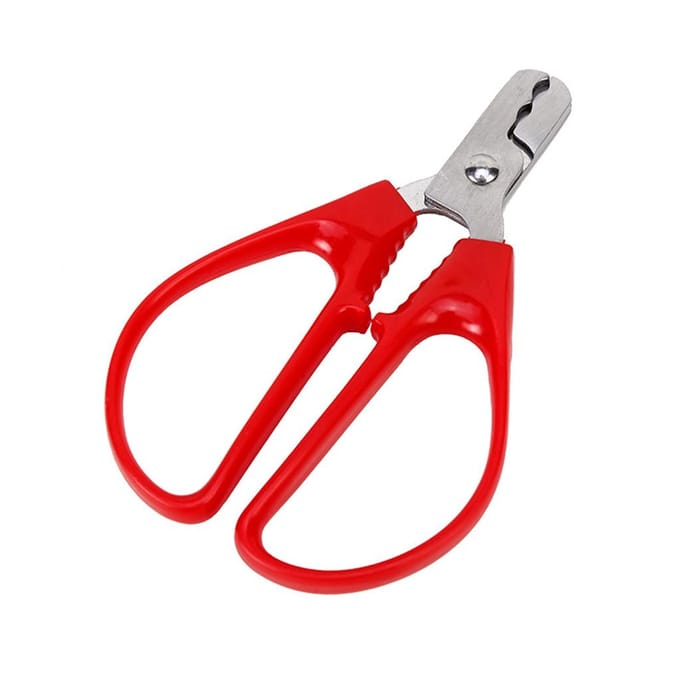 Pince décortiqueuse ouvre-noix et graines en acier inoxydable rouge