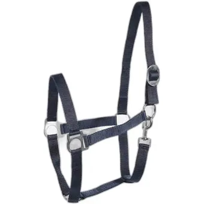Basis halster voor paarden Horze