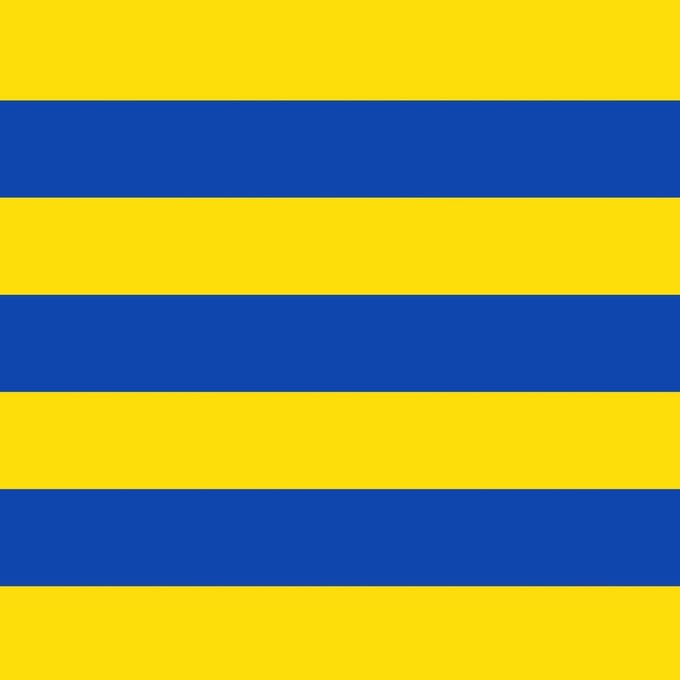 Vlag Amay 100x150cm