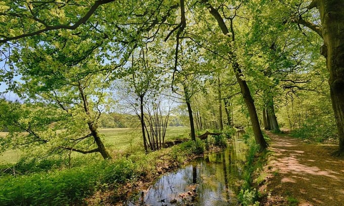 Fotobehang Molenbeek met uitzicht op de weilanden 450 x 260 cm - € 295,--