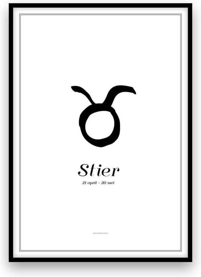Stier - Poster - A3 formaat