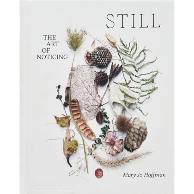 Still - Mary Jo Hoffman