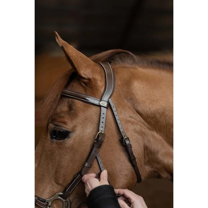 Anatomisch hoofdstel HFI Hackamore