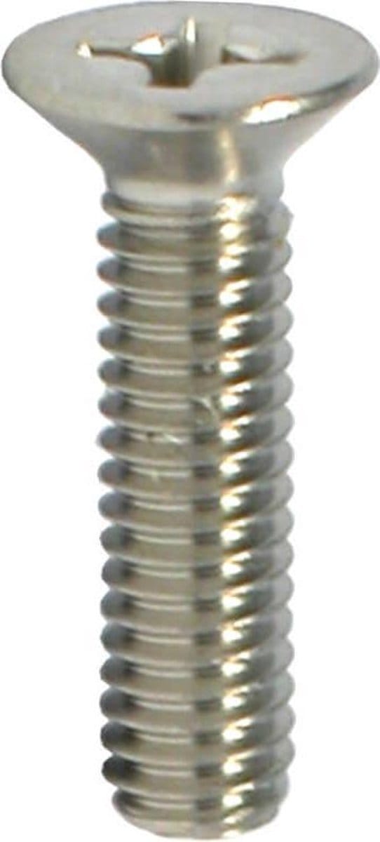 Metaalschroef PK met moer - rvs - M3 x 20 mm (30 stuks)