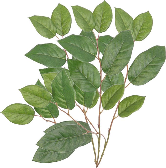 Bellatio flowers & plants Appelboom groene takken - 3x - 77 cm - bladgroen