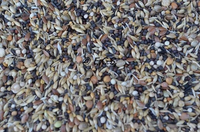 ECS Europese vogels fijn (wildzangzaad) 5kilo
