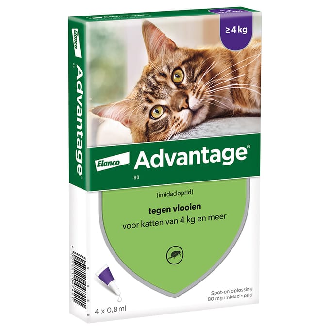 2 x 4 Pipetten AdvantageÂ® 80 voor katten vanaf 4 kg - Dubbelpak - NL